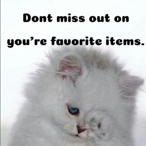 Build a bundle and make an offer or ..